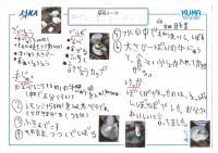 https://ku-ma.or.jp/spaceschool/report/2019/pipipiga-kai/index.php?q_num=4.14